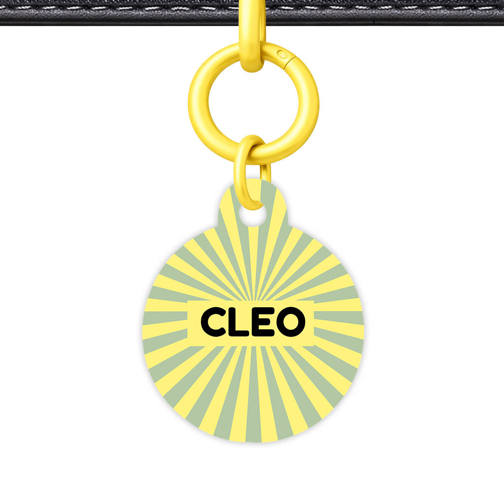 Green Yellow Sunburst QR Smart Pet Id Tag Tag (Dog Tag & Cat Tag)