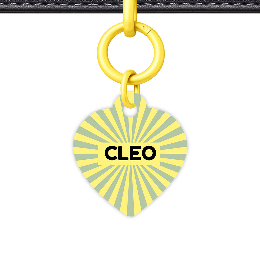 Green Yellow Sunburst QR Smart Pet Id Tag Tag (Dog Tag & Cat Tag)