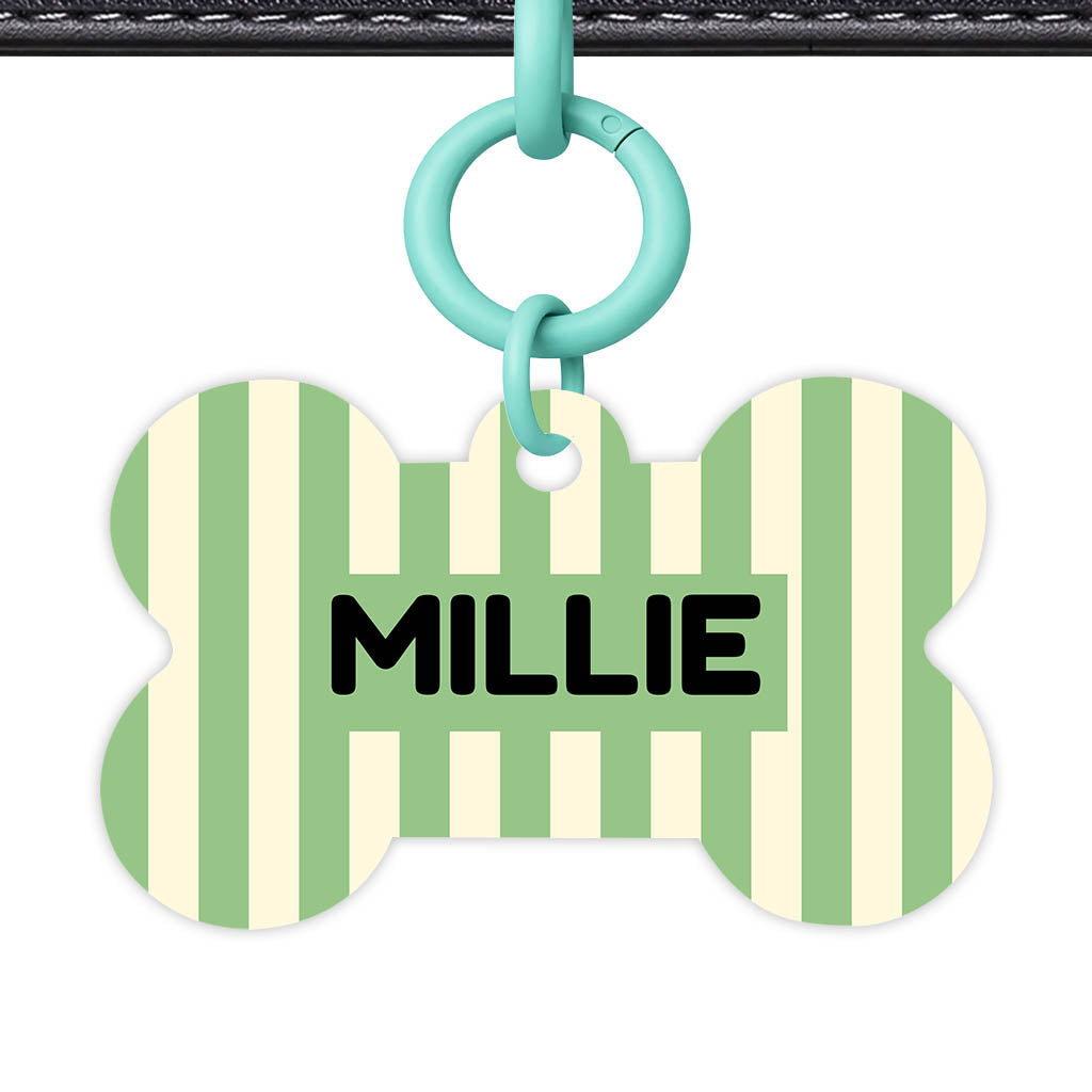 Mint Stripes Classic Pet ID Tag (Dog Tag & Cat Tag)