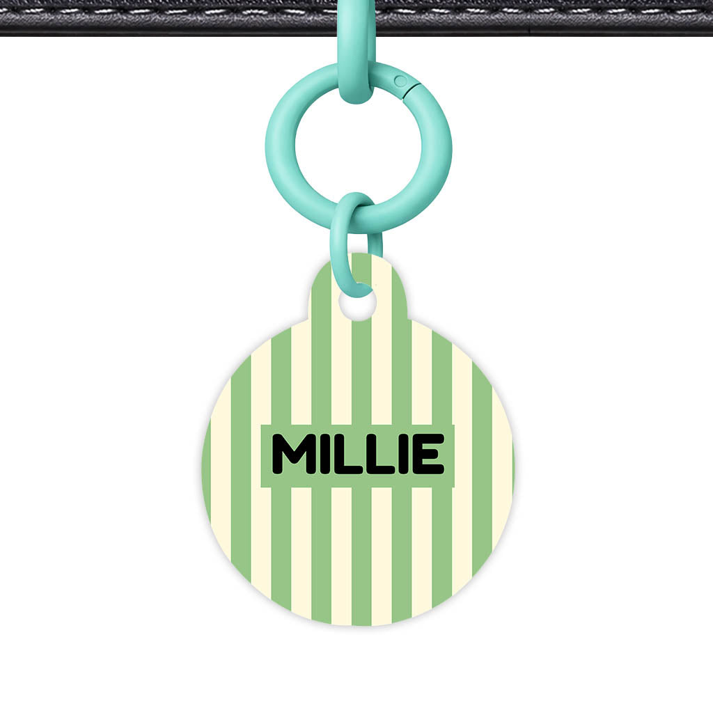 Mint Stripes Classic Pet ID Tag (Dog Tag & Cat Tag)