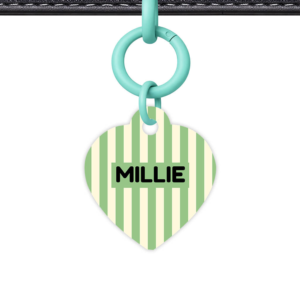 Mint Stripes Classic Pet ID Tag (Dog Tag & Cat Tag)