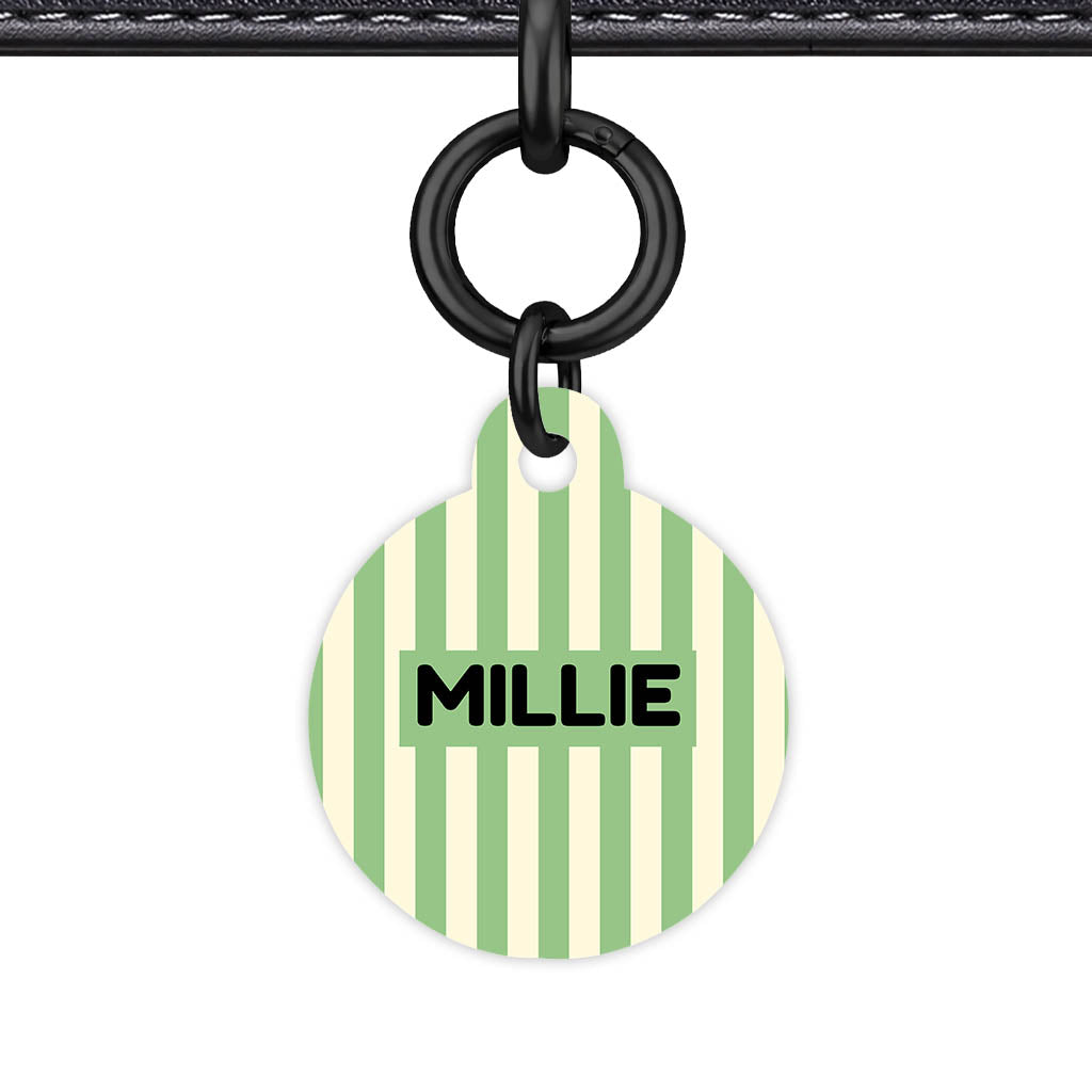 Mint Stripes QR Smart Pet Id Tag Tag (Dog Tag & Cat Tag)