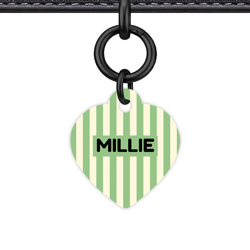 Mint Stripes QR Smart Pet Id Tag Tag (Dog Tag & Cat Tag)