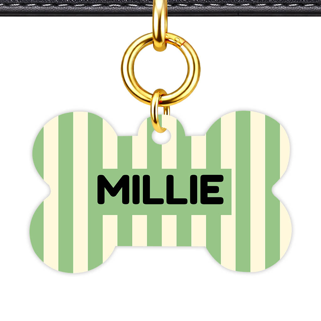 Mint Stripes QR Smart Pet Id Tag Tag (Dog Tag & Cat Tag)