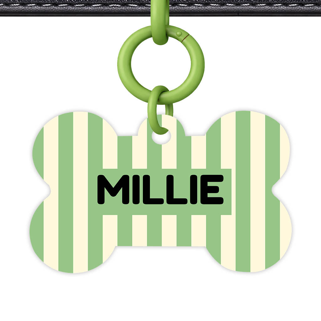 Mint Stripes Classic Pet ID Tag (Dog Tag & Cat Tag)