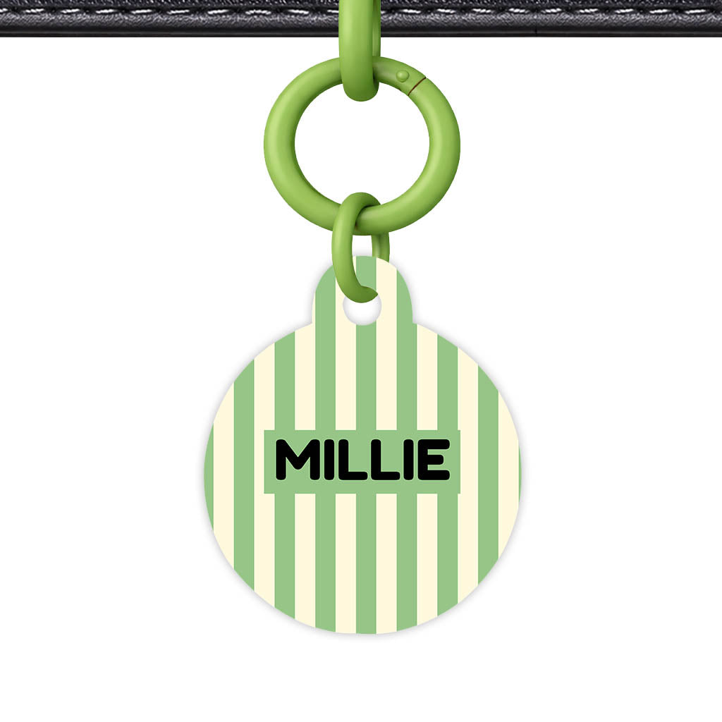 Mint Stripes QR Smart Pet Id Tag Tag (Dog Tag & Cat Tag)