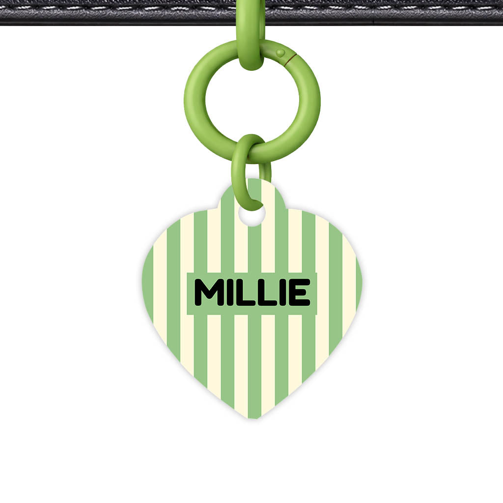 Mint Stripes QR Smart Pet Id Tag Tag (Dog Tag & Cat Tag)