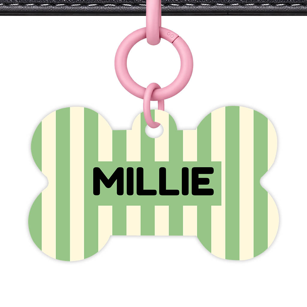 Mint Stripes QR Smart Pet Id Tag Tag (Dog Tag & Cat Tag)