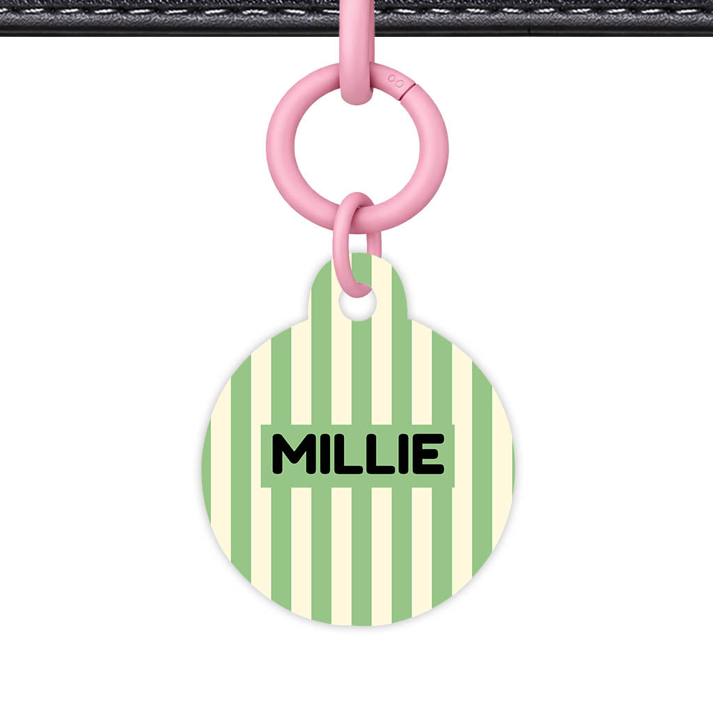 Mint Stripes QR Smart Pet Id Tag Tag (Dog Tag & Cat Tag)