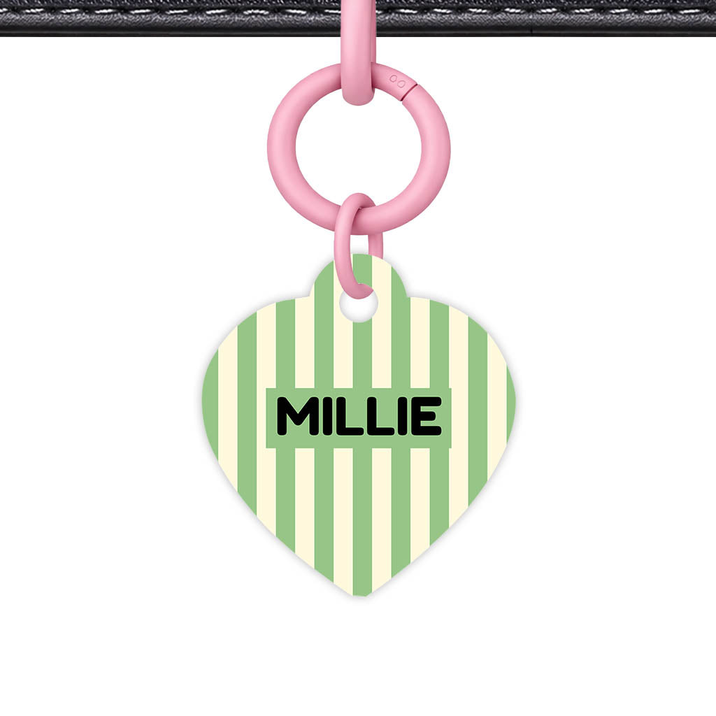 Mint Stripes QR Smart Pet Id Tag Tag (Dog Tag & Cat Tag)