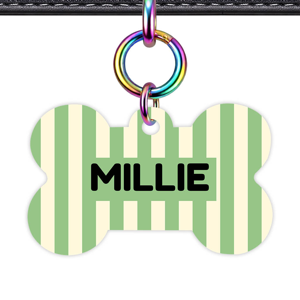 Mint Stripes Classic Pet ID Tag (Dog Tag & Cat Tag)