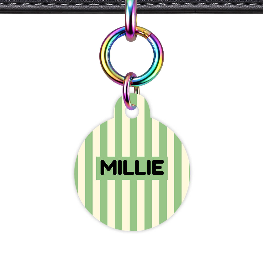 Mint Stripes QR Smart Pet Id Tag Tag (Dog Tag & Cat Tag)