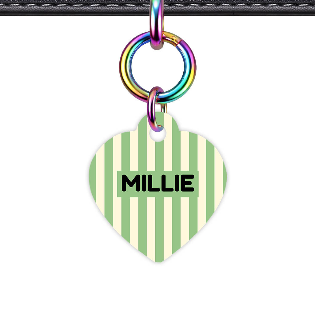 Mint Stripes Classic Pet ID Tag (Dog Tag & Cat Tag)