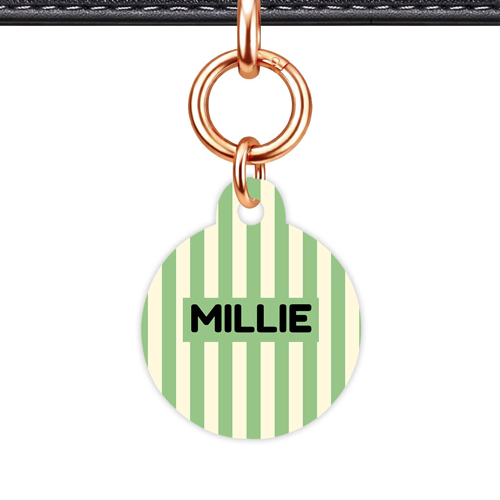 Mint Stripes QR Smart Pet Id Tag Tag (Dog Tag & Cat Tag)