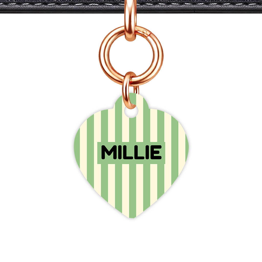 Mint Stripes Classic Pet ID Tag (Dog Tag & Cat Tag)