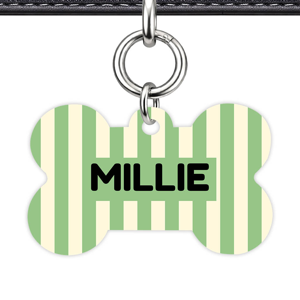 Mint Stripes Classic Pet ID Tag (Dog Tag & Cat Tag)