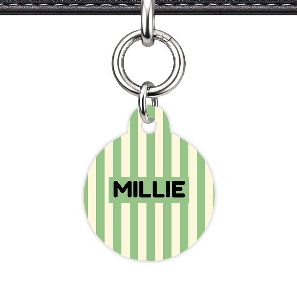 Mint Stripes Classic Pet ID Tag (Dog Tag & Cat Tag)