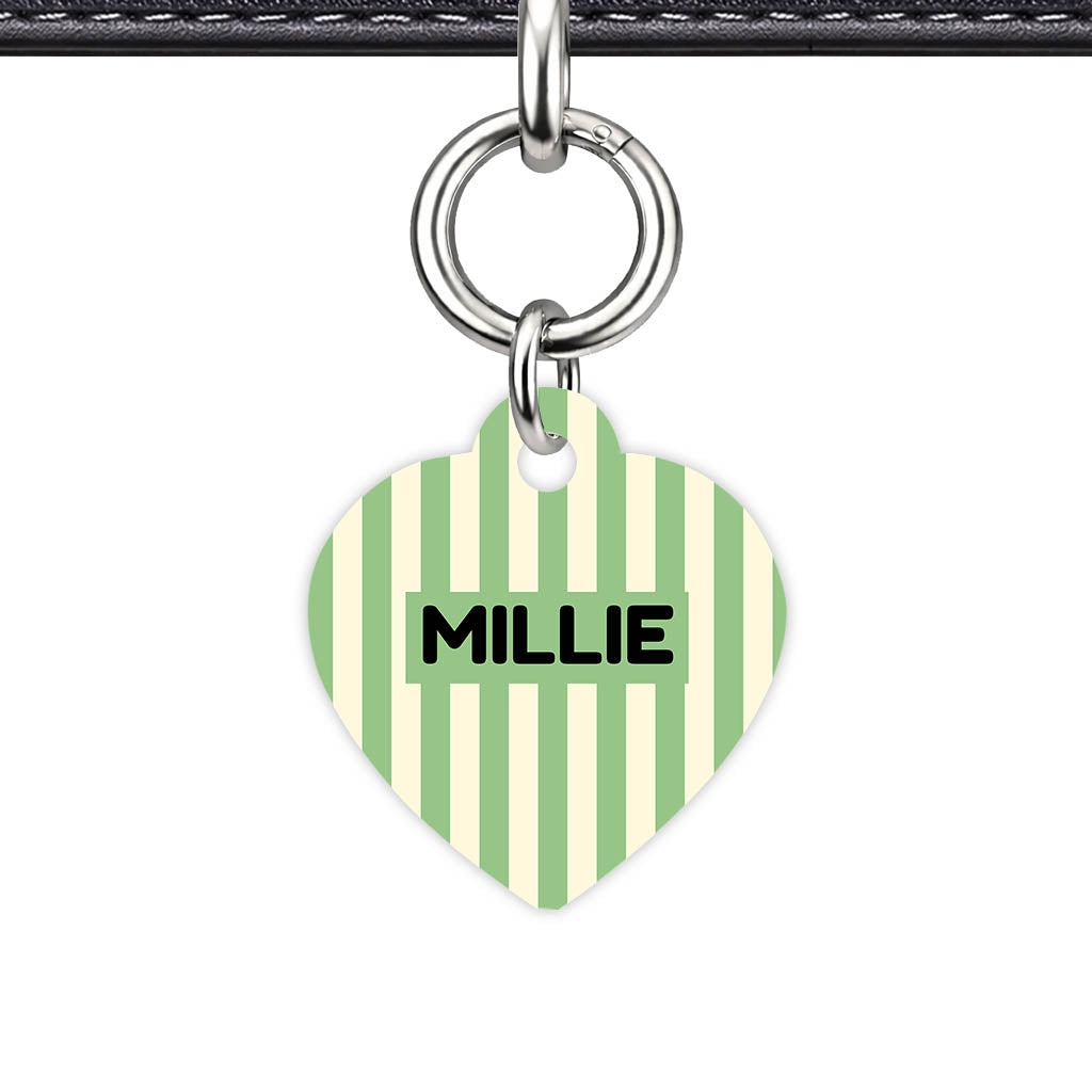 Mint Stripes QR Smart Pet Id Tag Tag (Dog Tag & Cat Tag)