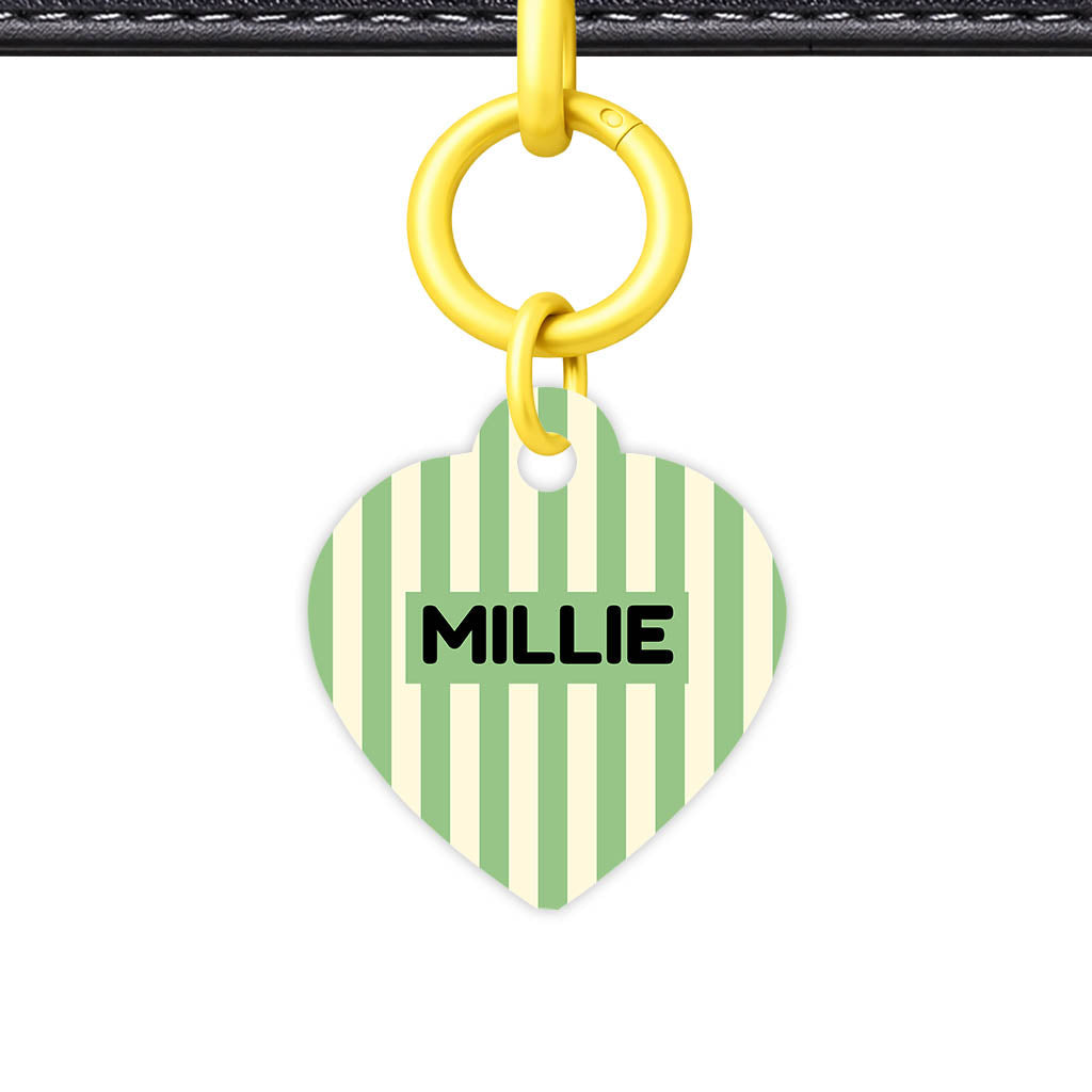 Mint Stripes QR Smart Pet Id Tag Tag (Dog Tag & Cat Tag)