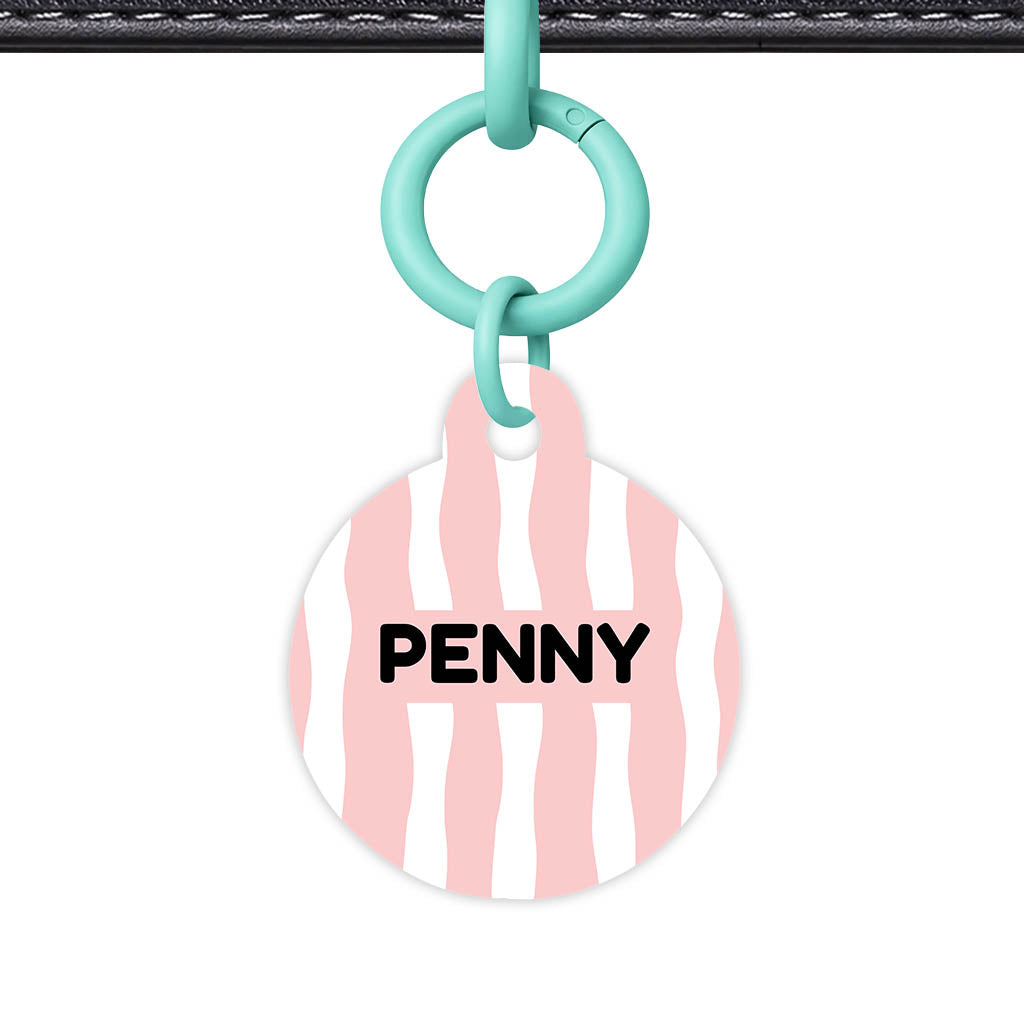 Blushed Classic Pet ID Tag (Dog Tag & Cat Tag)