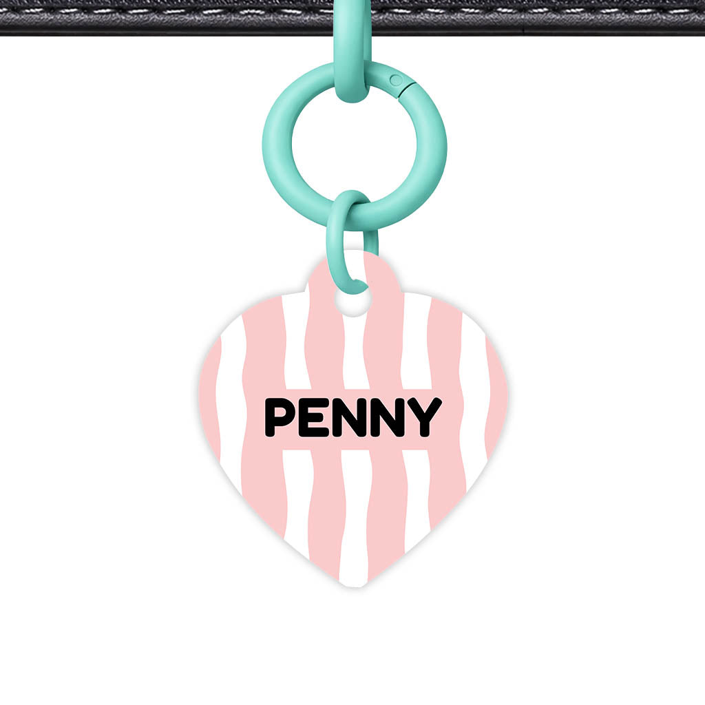 Blushed QR Smart Pet Id Tag Tag (Dog Tag & Cat Tag)