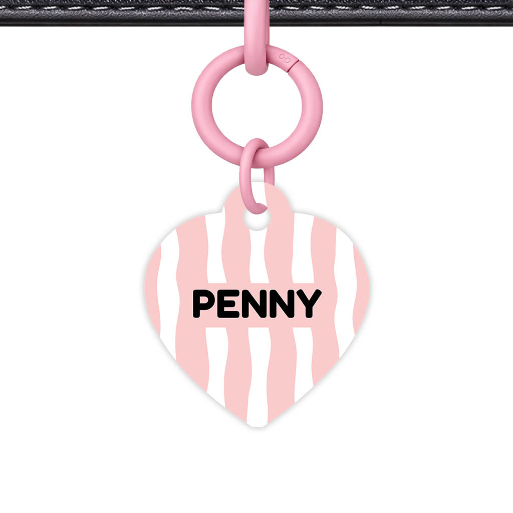 Blushed QR Smart Pet Id Tag Tag (Dog Tag & Cat Tag)