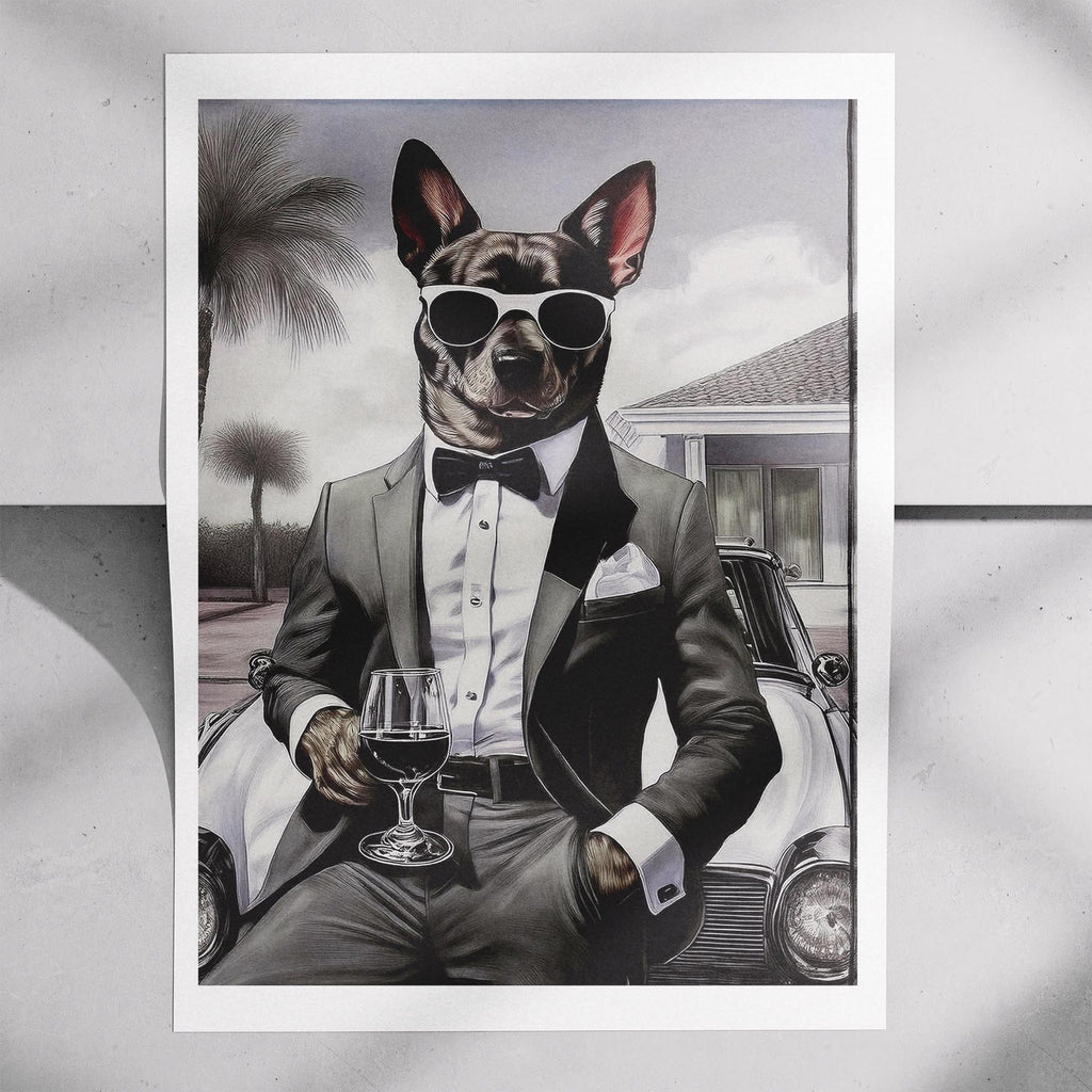 Cattle Dog The Distinguished Gentleman Dog Series image 7