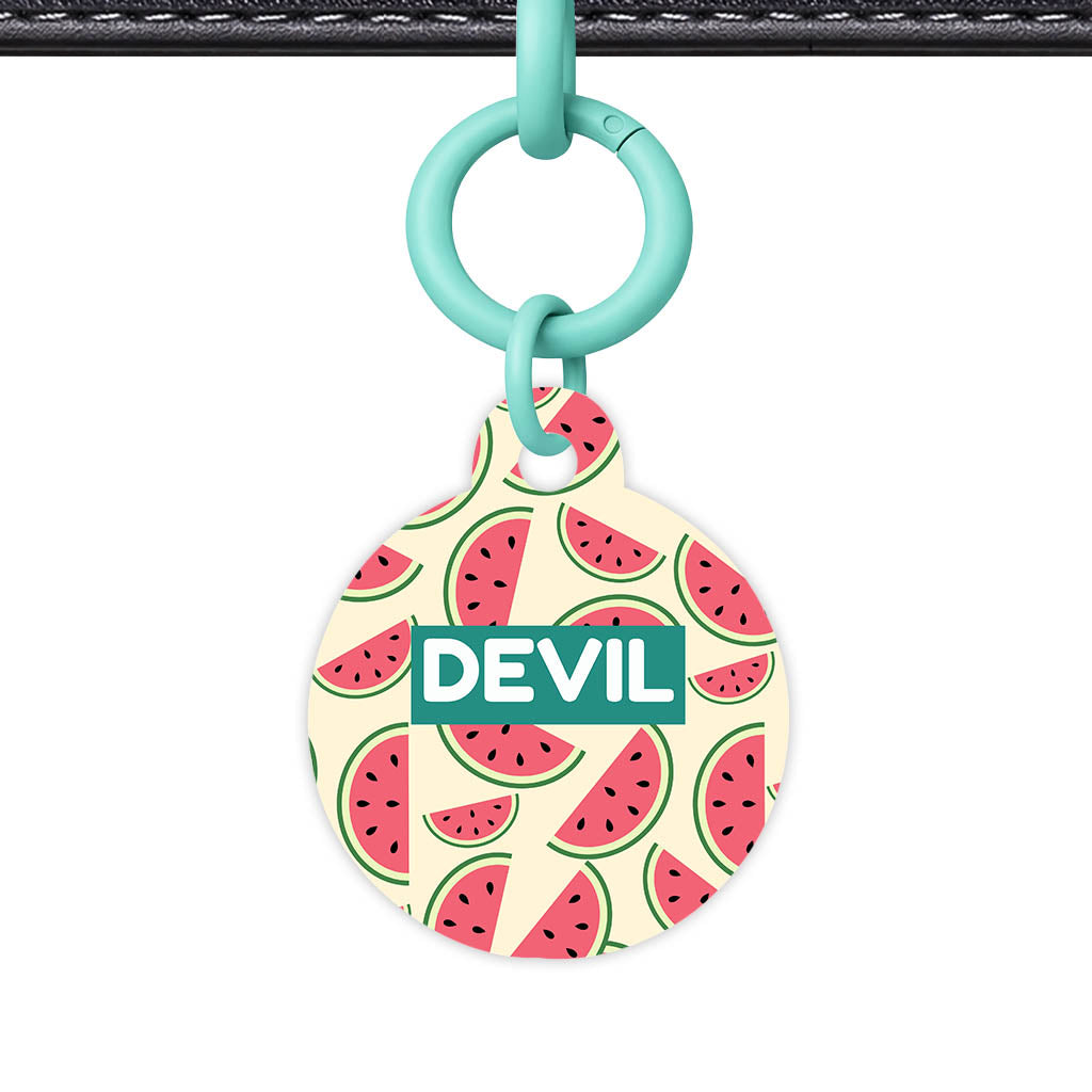 Watermelon Slice Classic Pet ID Tag (Dog Tag & Cat Tag)