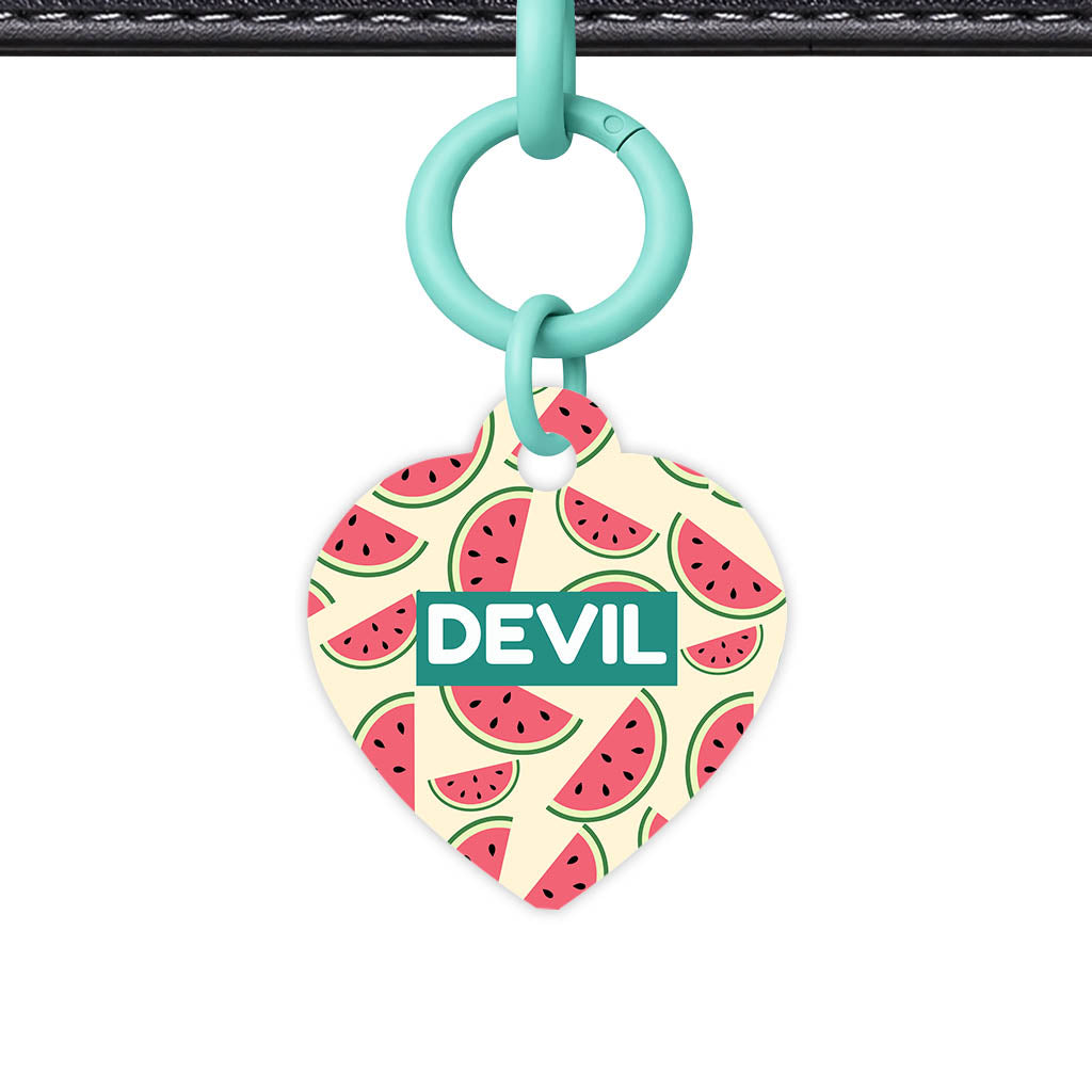 Watermelon Slice QR Smart Pet Id Tag Tag (Dog Tag & Cat Tag)