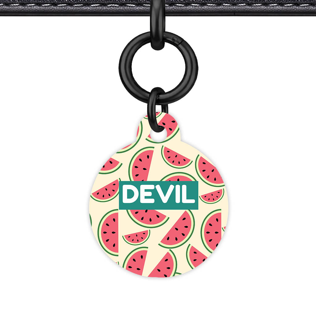 Watermelon Slice QR Smart Pet Id Tag Tag (Dog Tag & Cat Tag)