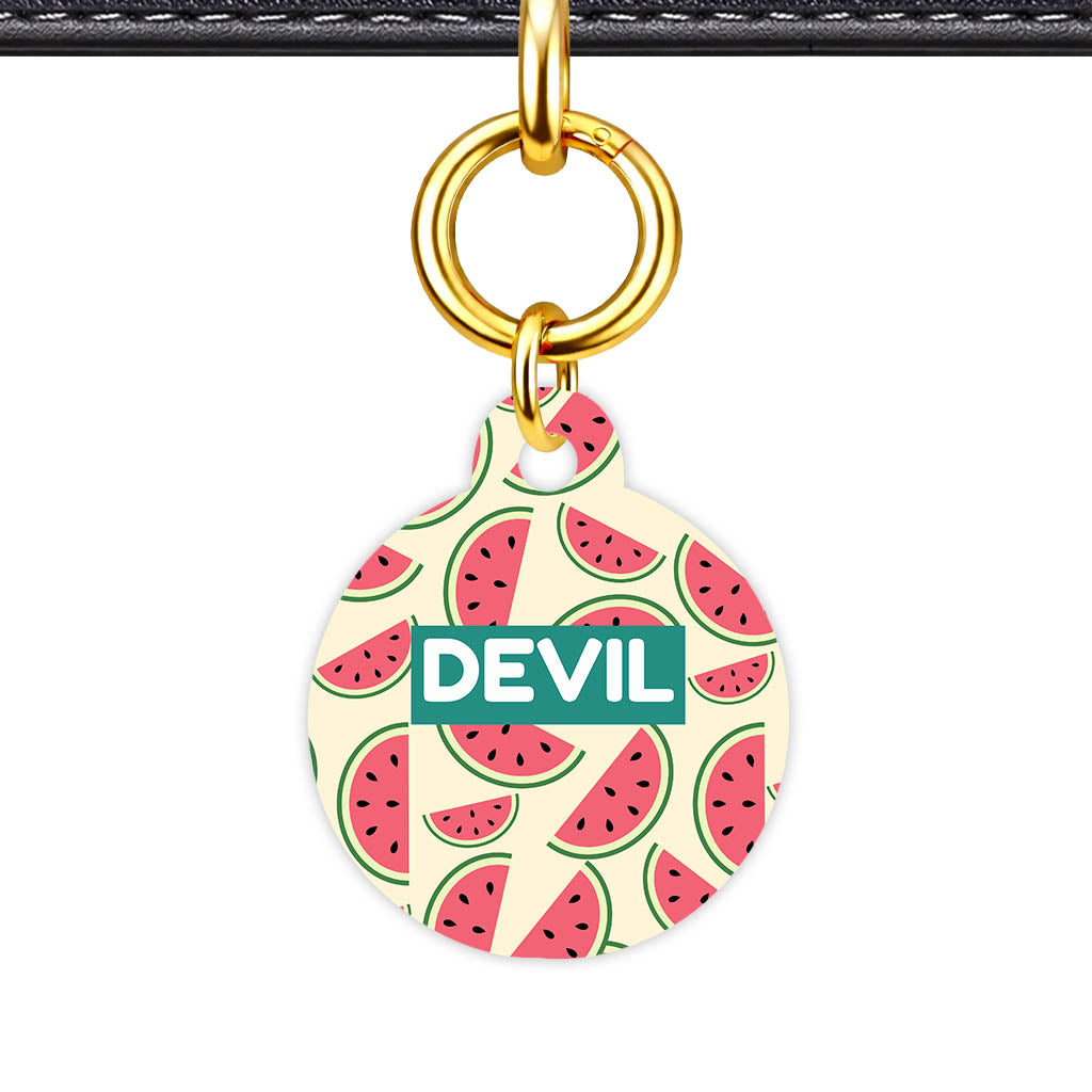 Watermelon Slice Classic Pet ID Tag (Dog Tag & Cat Tag)