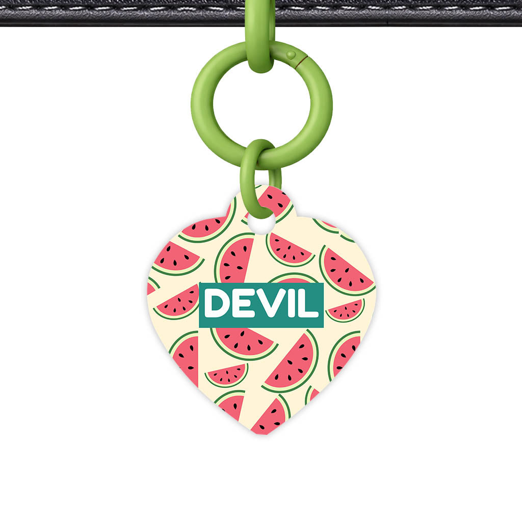 Watermelon Slice QR Smart Pet Id Tag Tag (Dog Tag & Cat Tag)