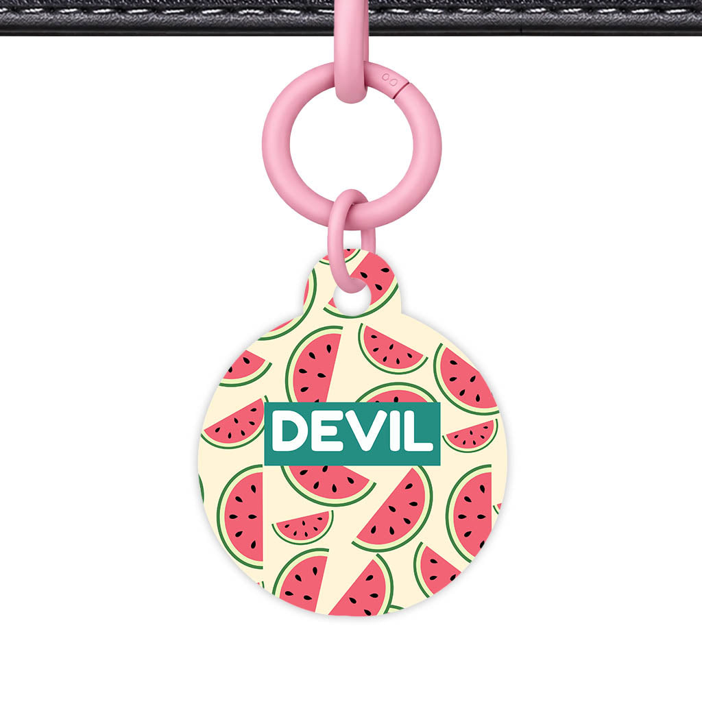 Watermelon Slice QR Smart Pet Id Tag Tag (Dog Tag & Cat Tag)