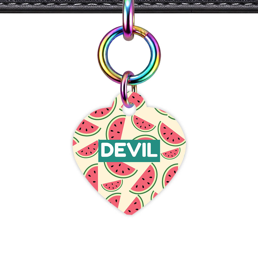 Watermelon Slice QR Smart Pet Id Tag Tag (Dog Tag & Cat Tag)