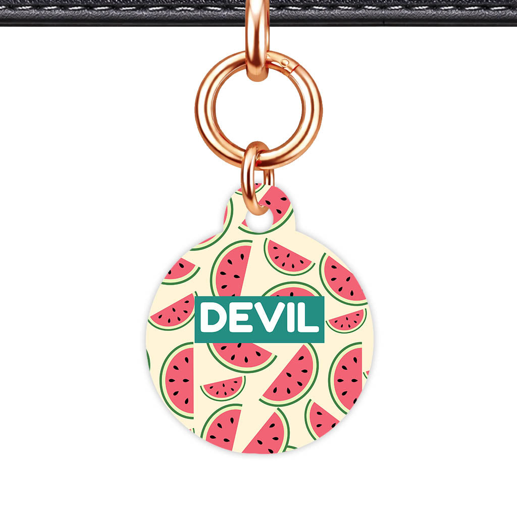 Watermelon Slice QR Smart Pet Id Tag Tag (Dog Tag & Cat Tag)