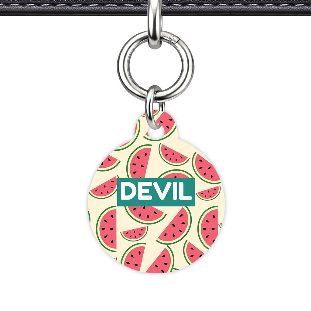 Watermelon Slice Classic Pet ID Tag (Dog Tag & Cat Tag)