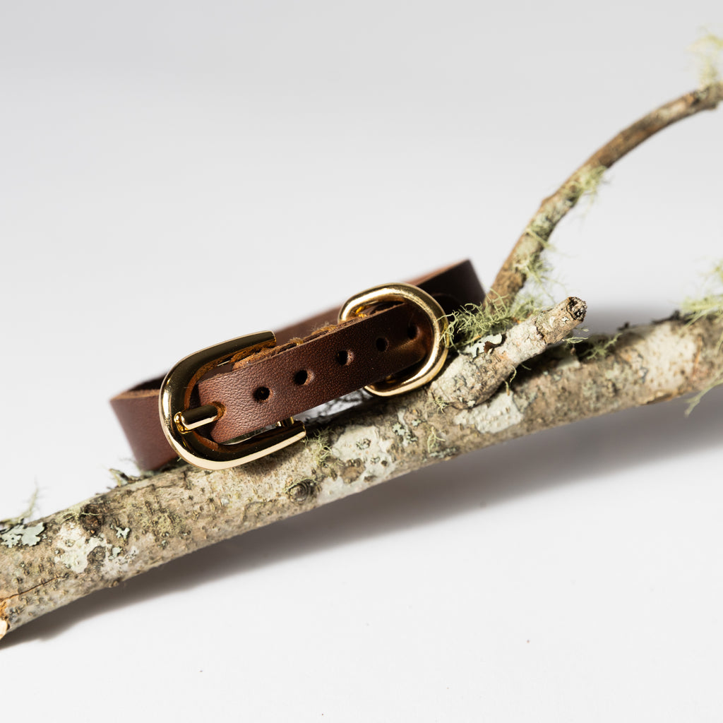 Tan Leather Dog Collar for Small - Medium Dogs & Cats | Dogsy & Co