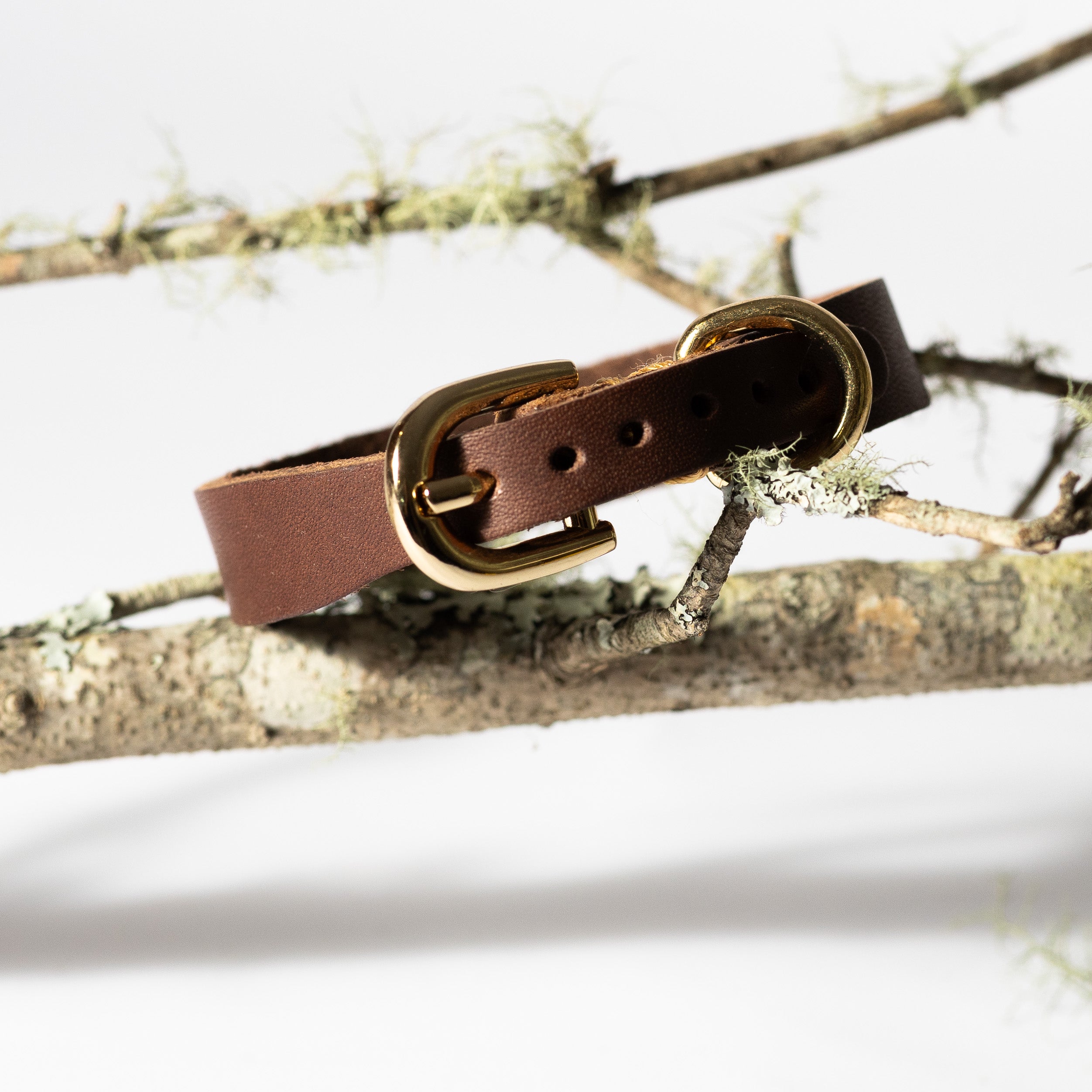 Tan Leather Dog Collar for Small - Medium Dogs & Cats - Image 6 | Dogsy & Co