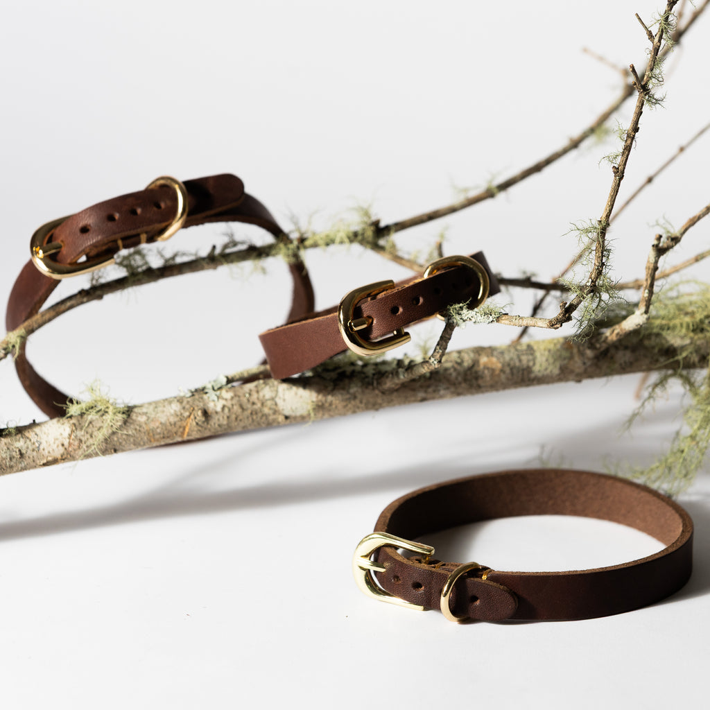 Tan Leather Dog Collar for Small - Medium Dogs & Cats - Image 8 | Dogsy & Co