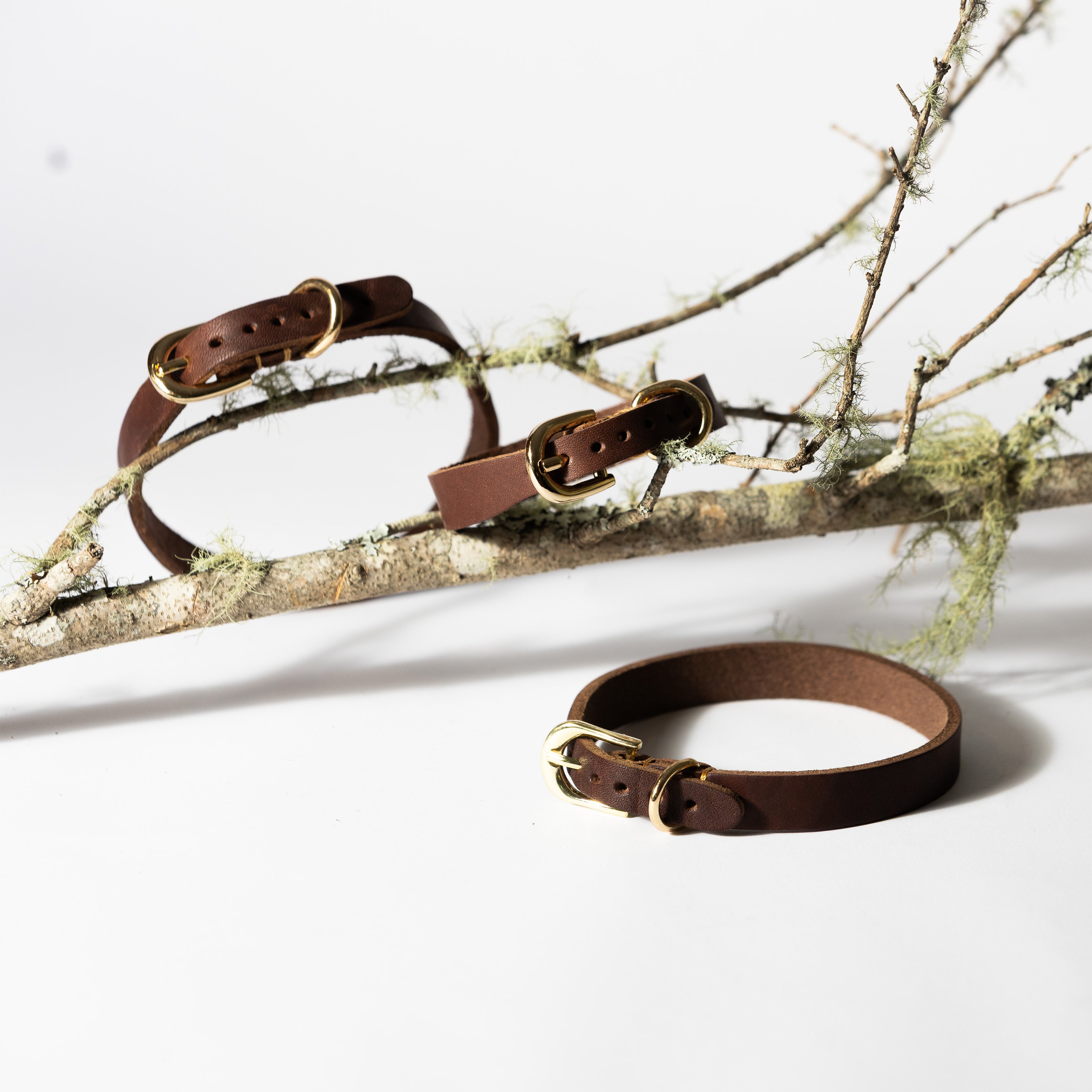 Tan Leather Dog Collar for Small - Medium Dogs & Cats - Image 9 | Dogsy & Co
