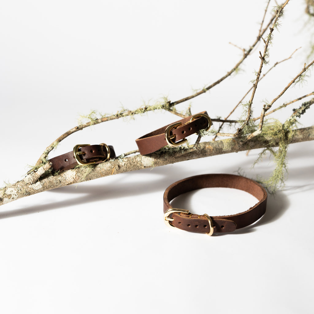 Tan Leather Dog Collar for Small - Medium Dogs & Cats - Image 10 | Dogsy & Co