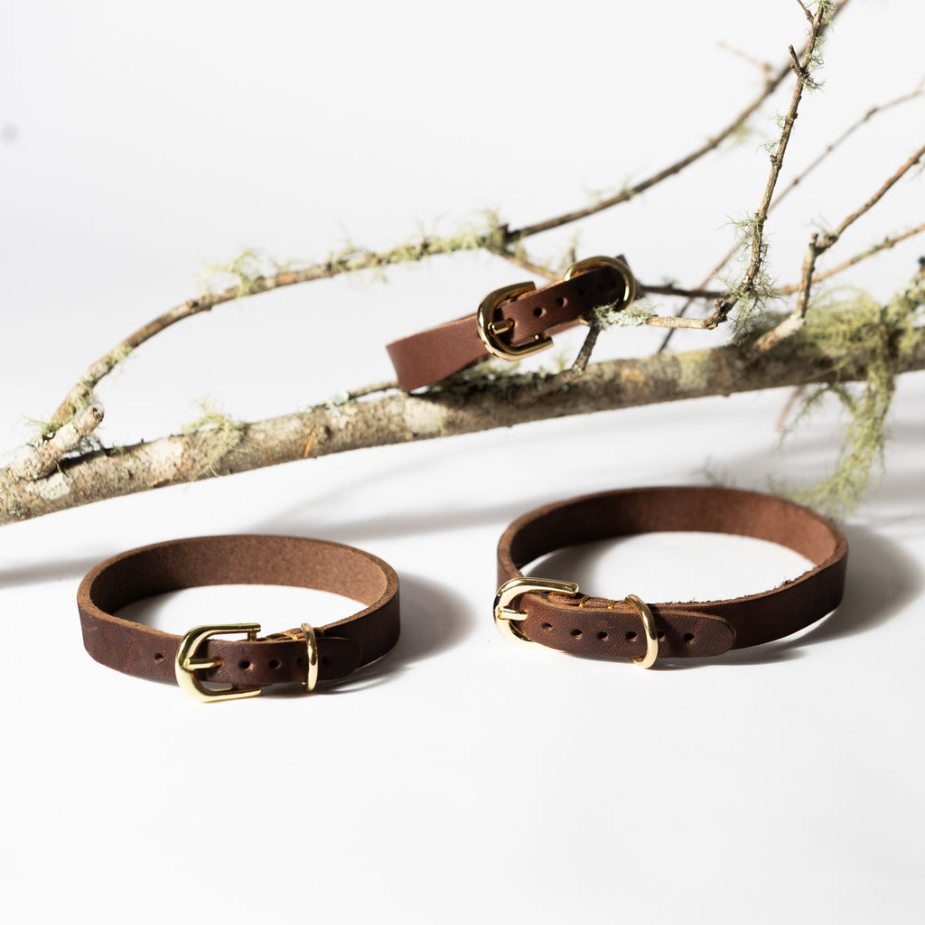 Tan Leather Dog Collar for Small - Medium Dogs & Cats - Image 11 | Dogsy & Co