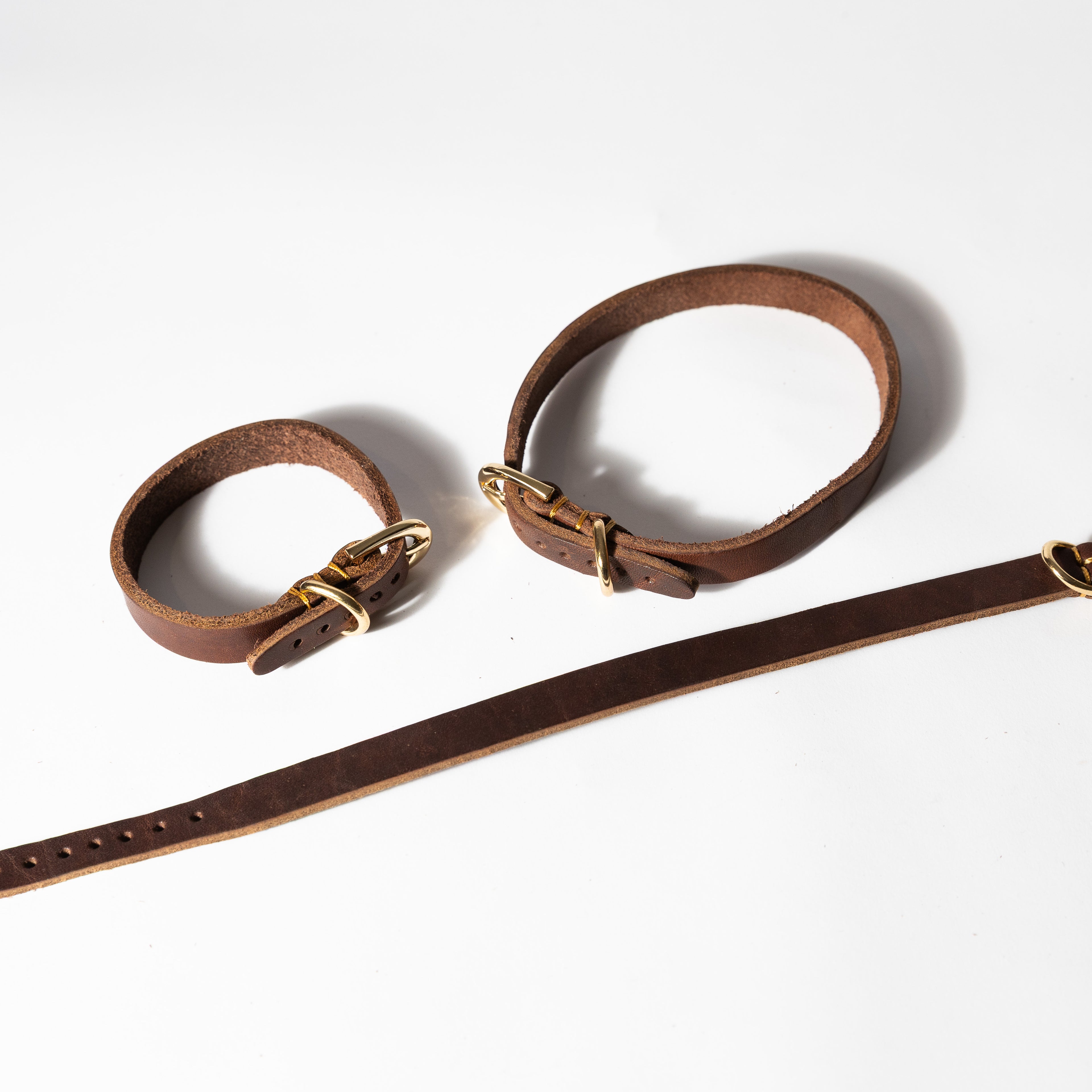 Tan Leather Dog Collar for Small - Medium Dogs & Cats - Image 15 | Dogsy & Co
