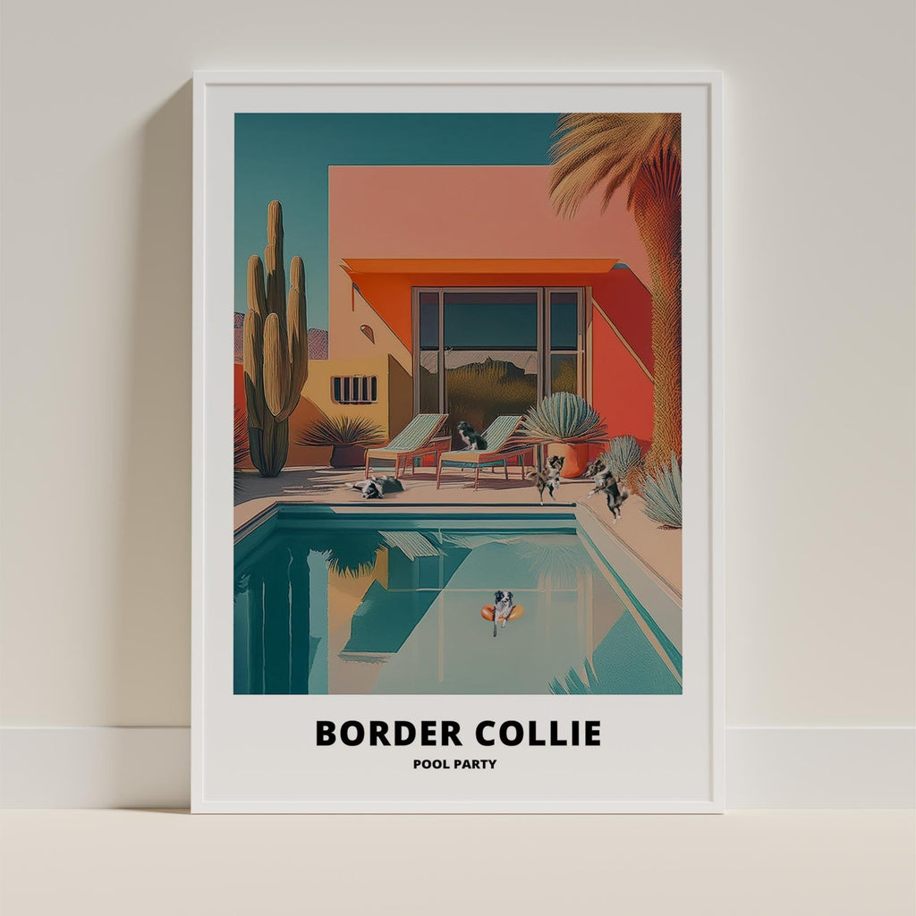 Border Collie Pool Party image 9