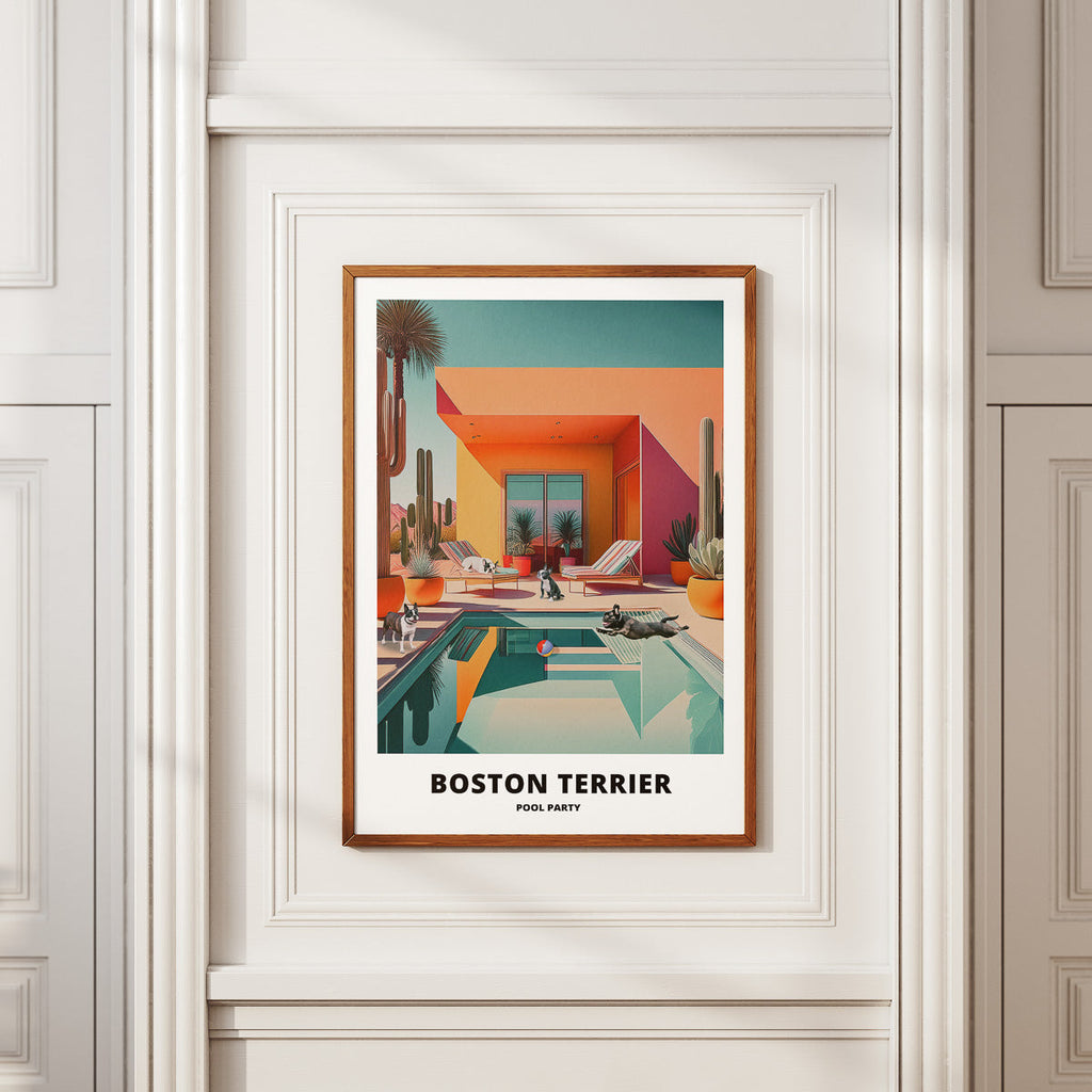 Boston Terrier Pool Party image 2