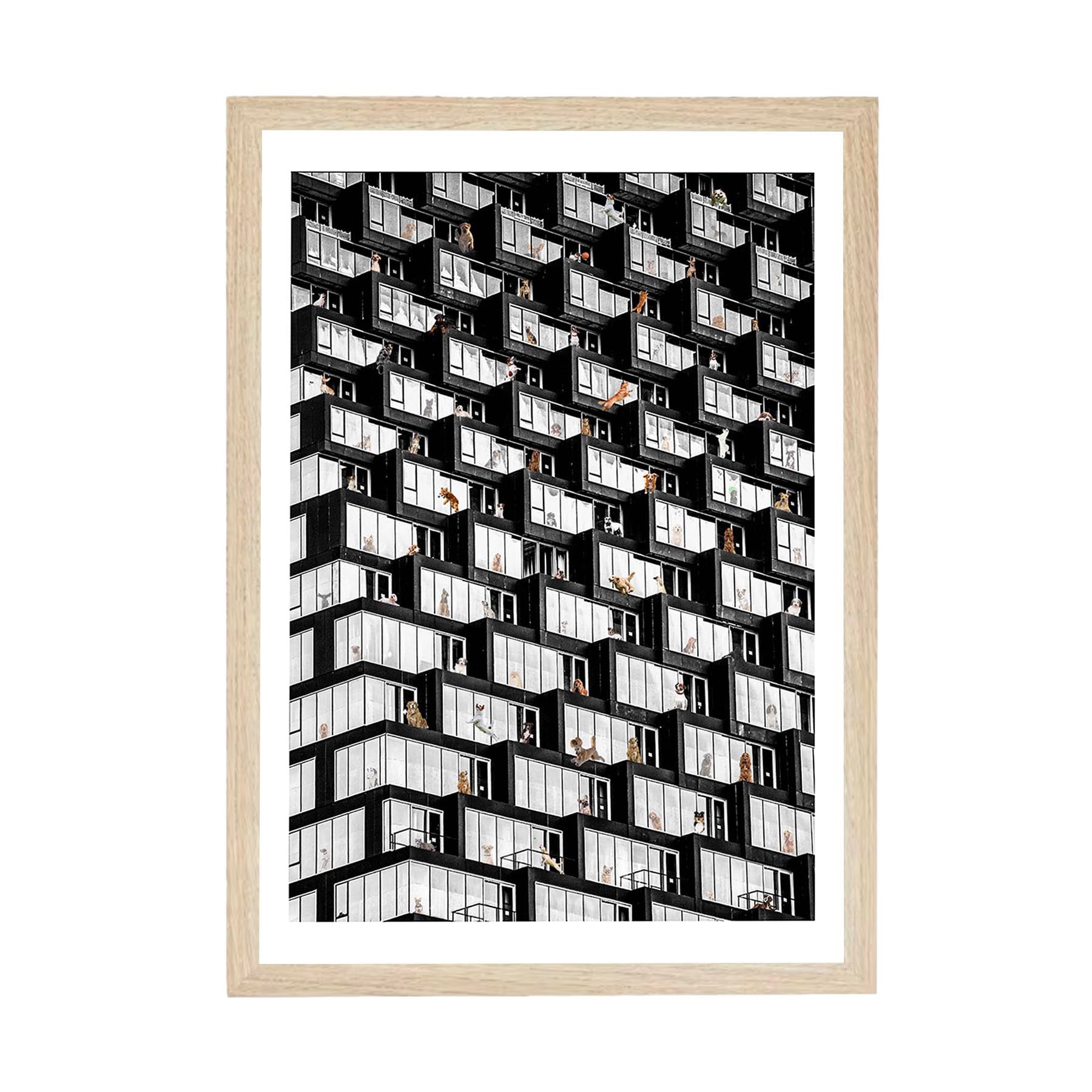 Where is Your Dog Urban NO TEXT image 2