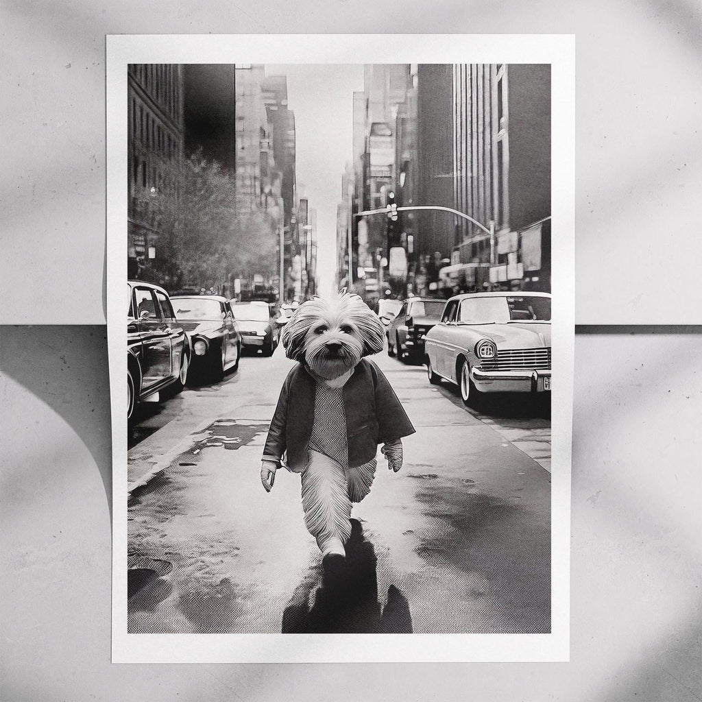 Coton de Tulear Doggy Dean Series image 7