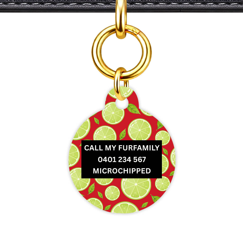 Lime Slices Classic Pet Id (Dog Tag & Cat Tag)