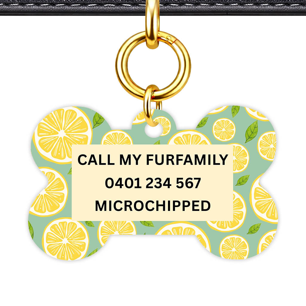 Lemon Slices Classic Pet Id (Dog Tag & Cat Tag)