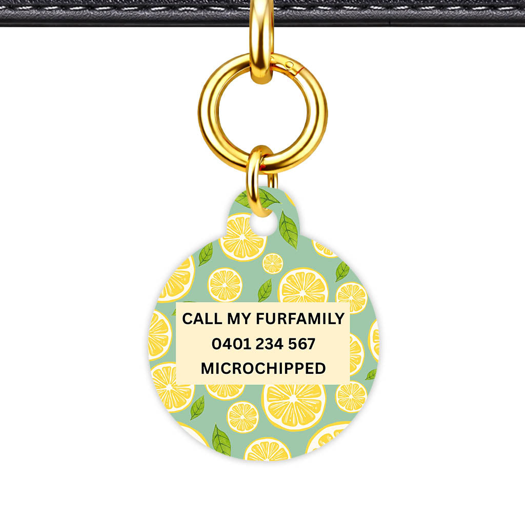 Lemon Slices Classic Pet Id (Dog Tag & Cat Tag)